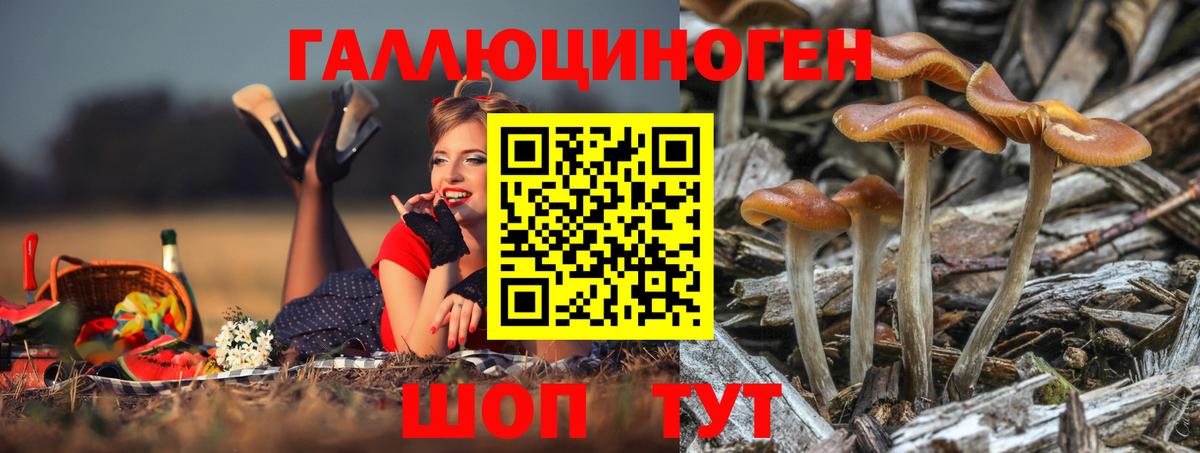 Дивногорск  где можно купить наркотик  Вход с VPN  Галлюциногенные грибы мухоморы 